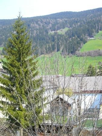 Apartament Haus Milli San Candido Zewnętrze zdjęcie